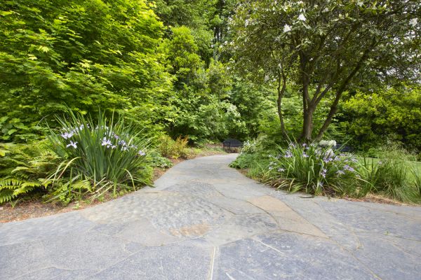 Stone Hardscape Service in Mchenry